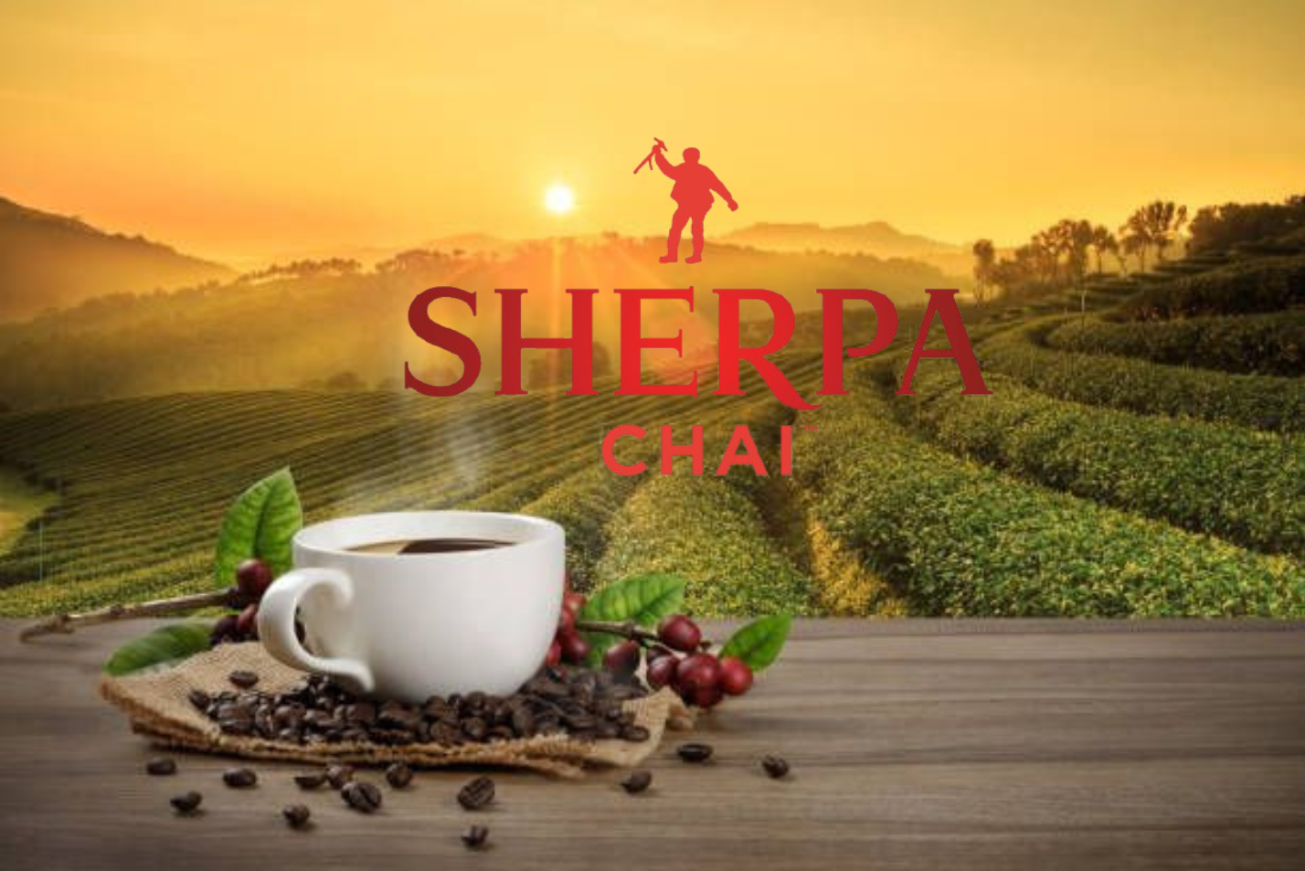 Sherpa Chai - Services